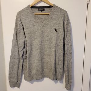 Express v-neck sweater